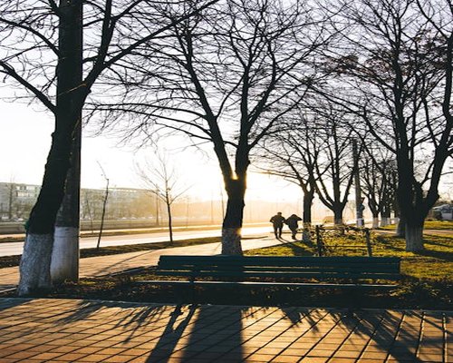 Un cuplu plimbându-se relaxat într-un parc din România la apus
