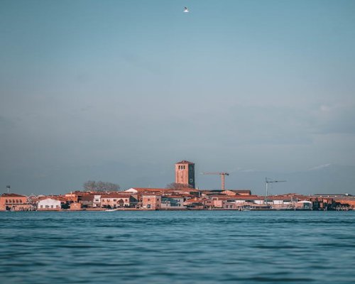 Elena Dumitrescu, Coordonator Conținut